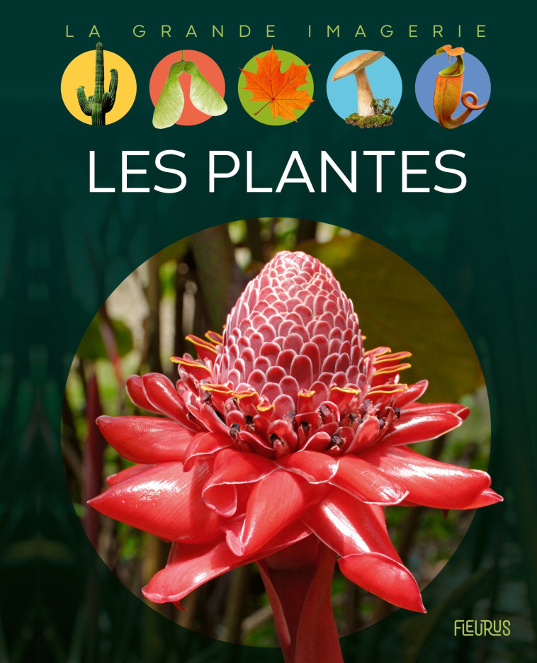 LES PLANTES - XXX - FLEURUS