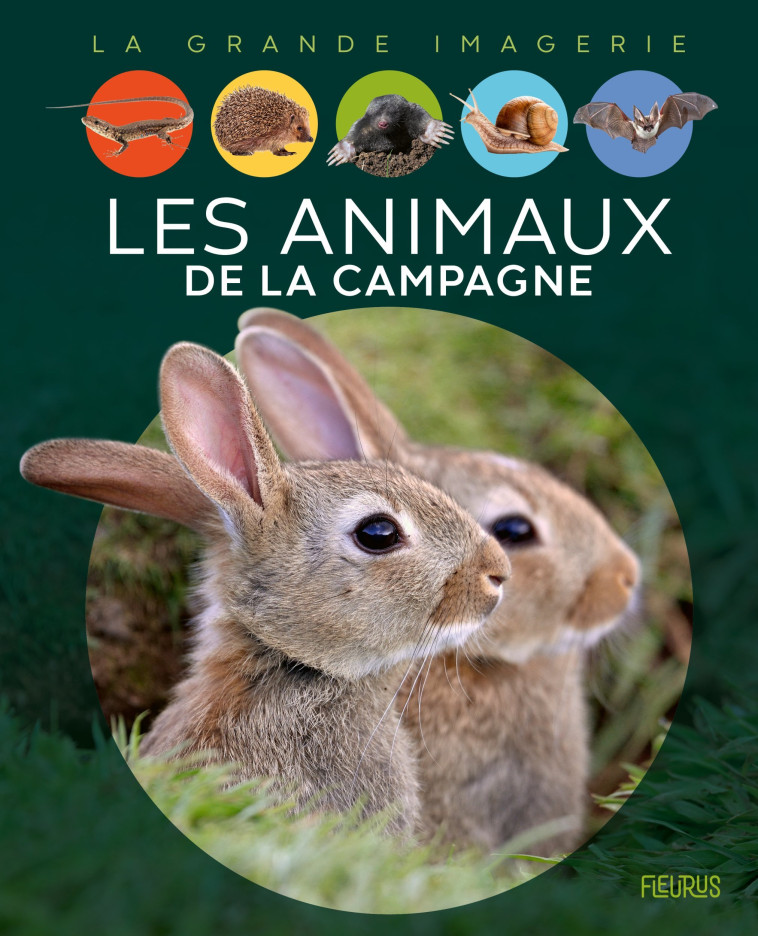 LES ANIMAUX DE LA CAMPAGNE - XXX - FLEURUS