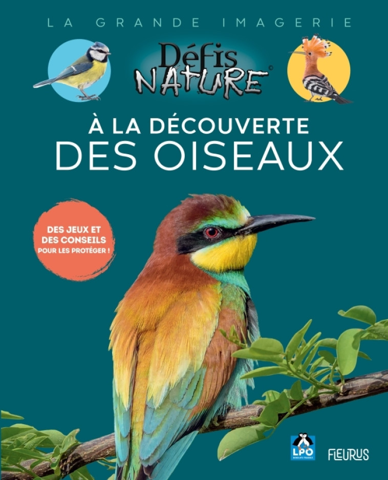 A LA DECOUVERTE DES OISEAUX - BOONE DANIELE - FLEURUS