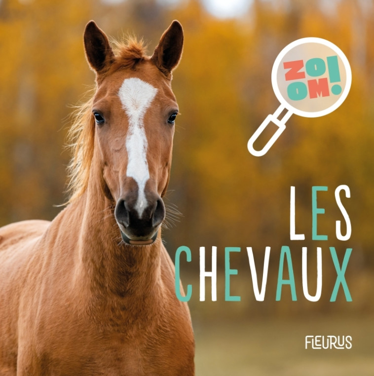 LES CHEVAUX - HEDELIN PASCALE - FLEURUS