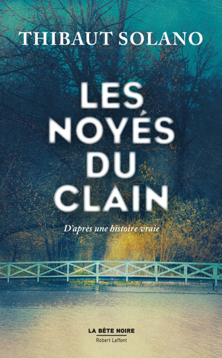 LES NOYES DU CLAIN - SOLANO THIBAUT - ROBERT LAFFONT