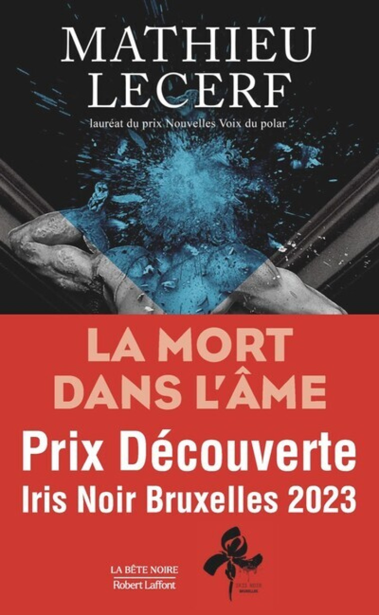 LA MORT DANS L'AME - LECERF MATHIEU - ROBERT LAFFONT