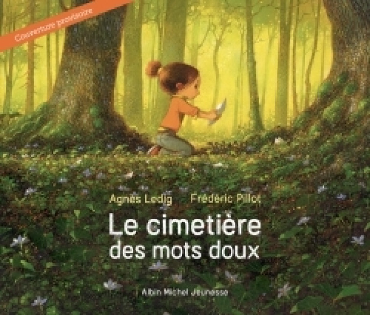 LE CIMETIERE DES MOTS DOUX - LEDIG/PILLOT - ALBIN MICHEL