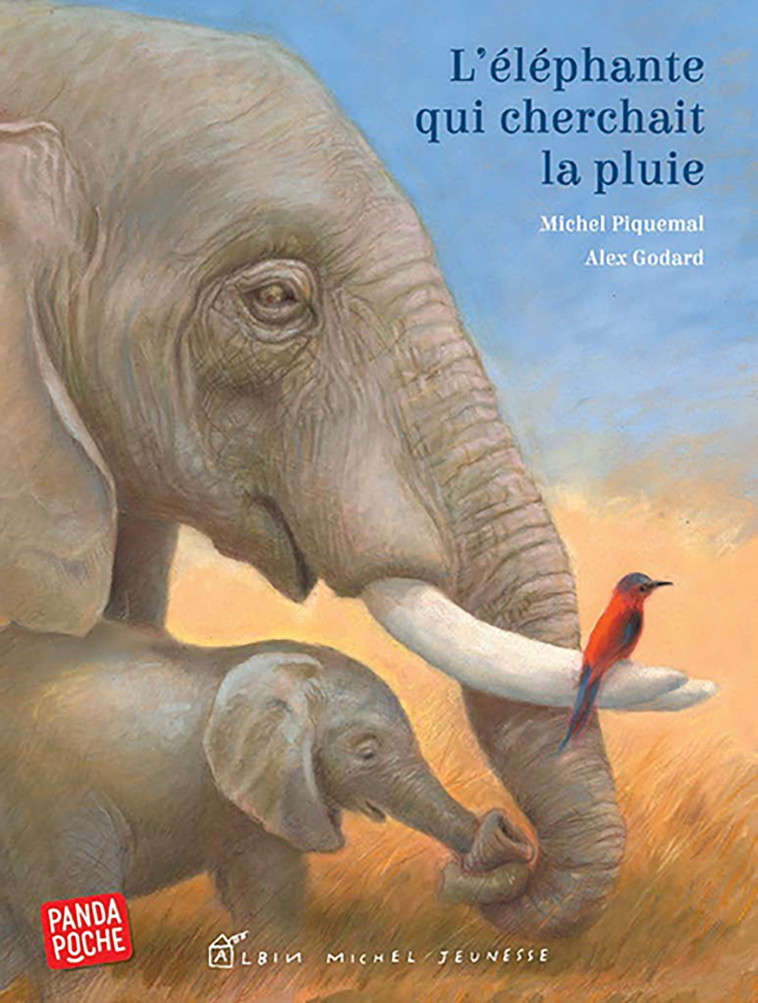 L'ELEPHANTE QUI CHERCHAIT LA PLUIE - PIQUEMAL/GODARD - ALBIN MICHEL