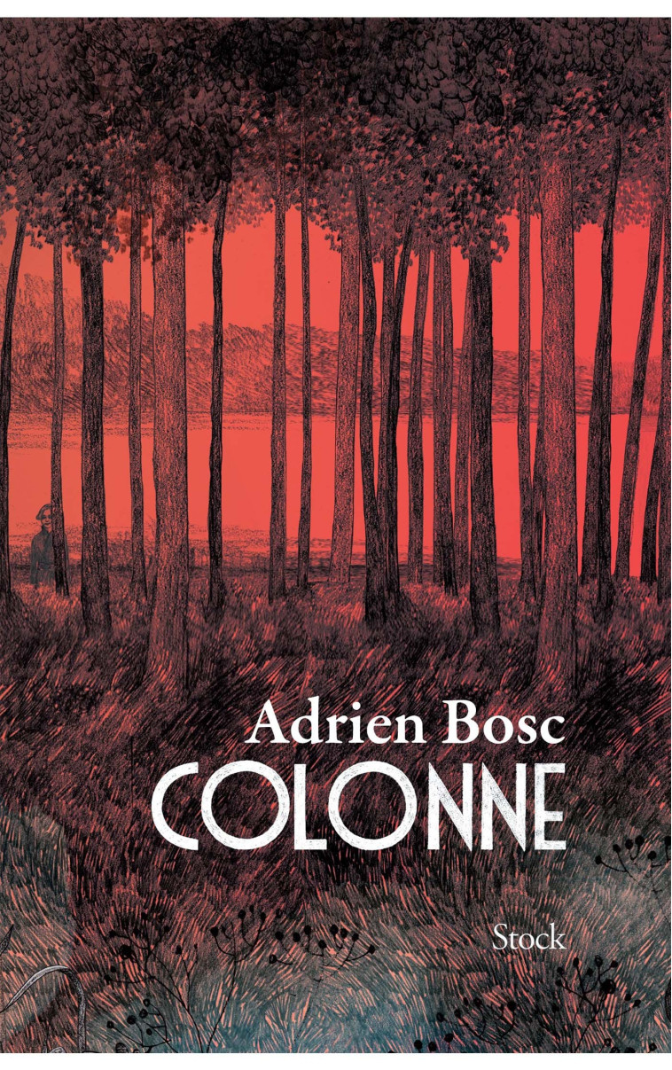 COLONNE - BOSC ADRIEN - STOCK