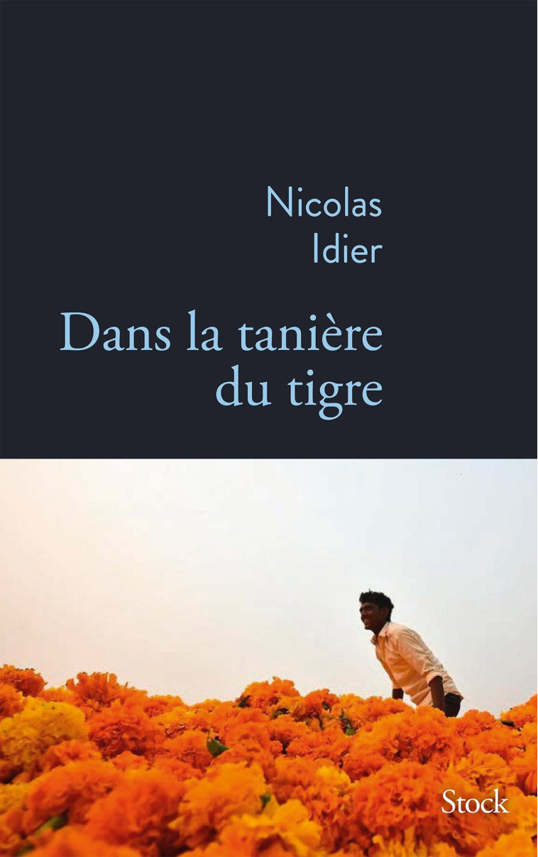 DANS LA TANIERE DU TIGRE - IDIER NICOLAS - STOCK