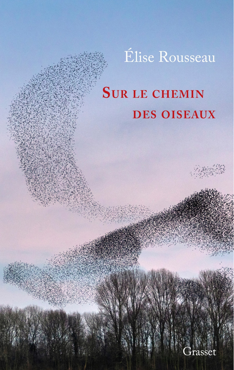 SUR LE CHEMIN DES OISEAUX - ROUSSEAU ELISE - GRASSET