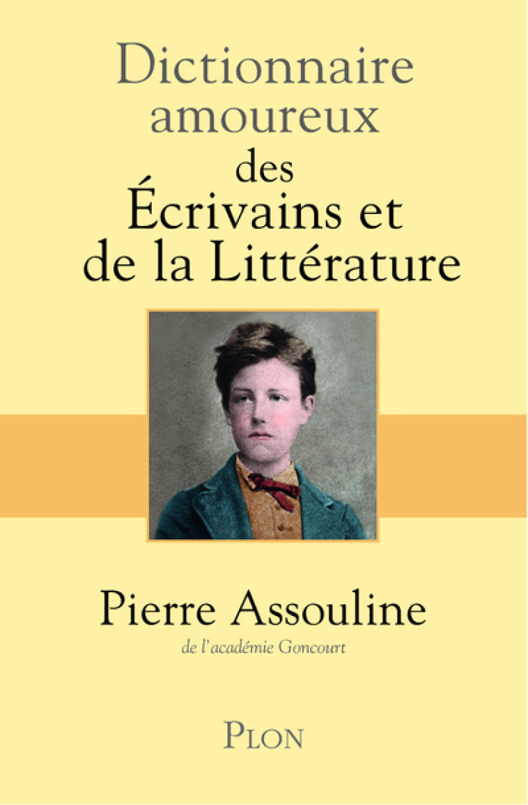 DICTIONNAIRE AMOUREUX DES ECRIVAINS ET DE L A LITTERATURE - ASSOULINE PIERRE - PLON