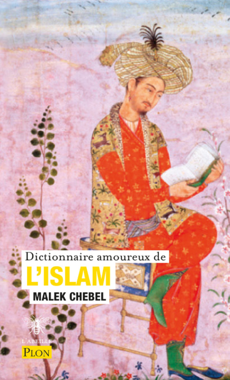 DICTIONNAIRE AMOUREUX DE L'ISLAM - CHEBEL MALEK - PLON