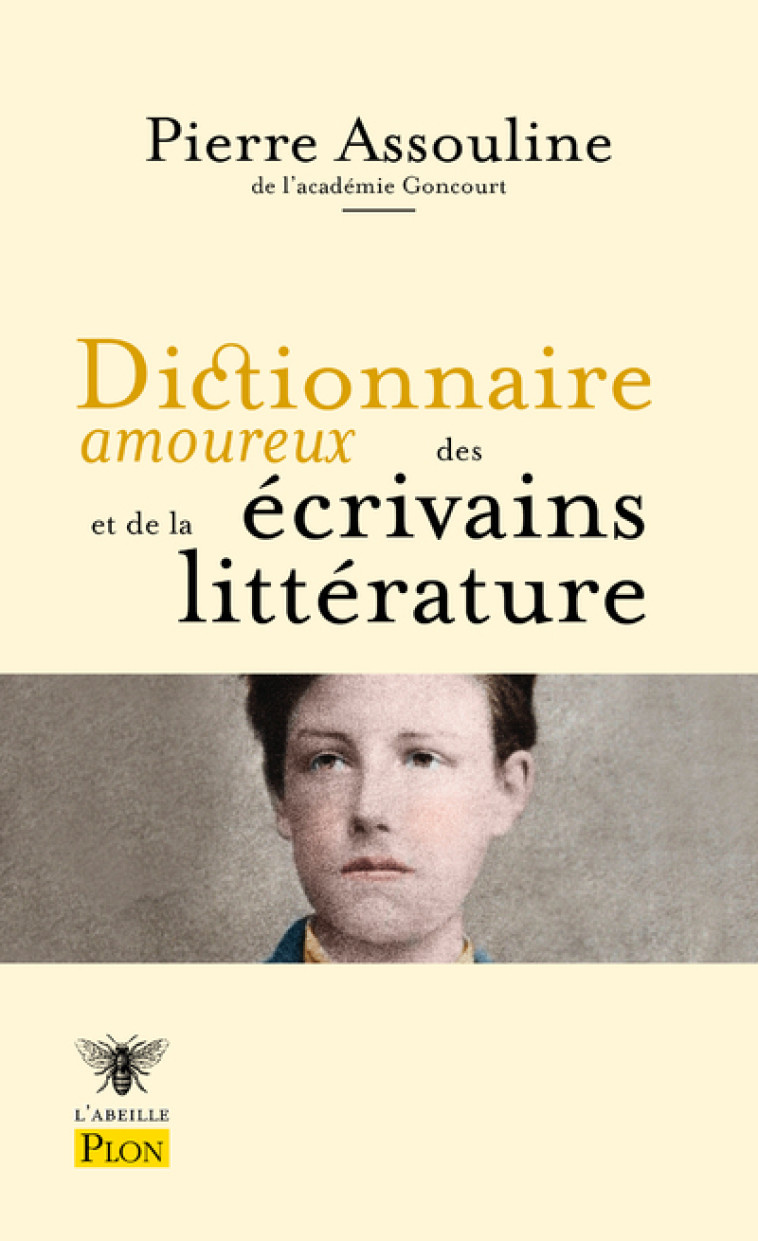 DICTIONNAIRE AMOUREUX DES ECRIVAINS ET DE LA LITTERATURE - ASSOULINE PIERRE - PLON