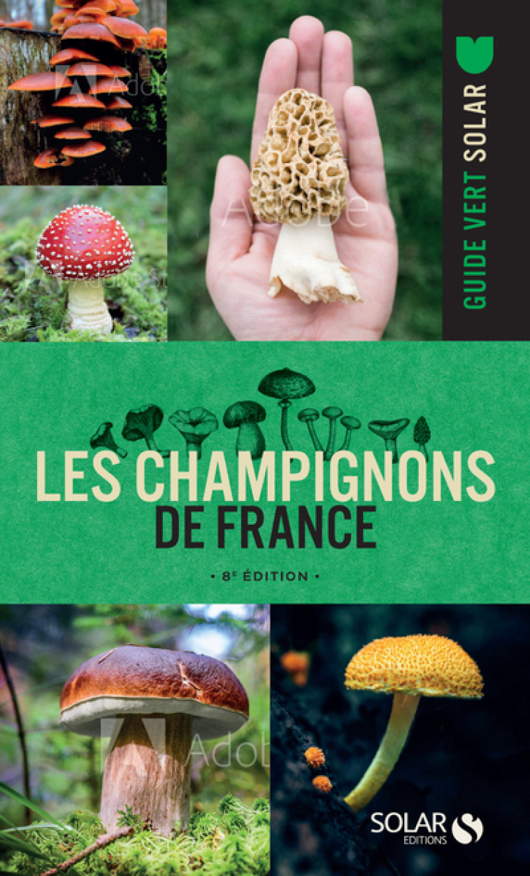 LES CHAMPIGNONS DE FRANCE - 8E EDITION - CHAUMETON HERVE - SOLAR