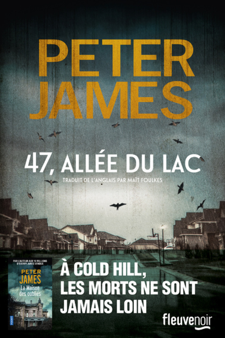 47 ALLEE DU LAC - JAMES PETER - FLEUVE EDITIONS