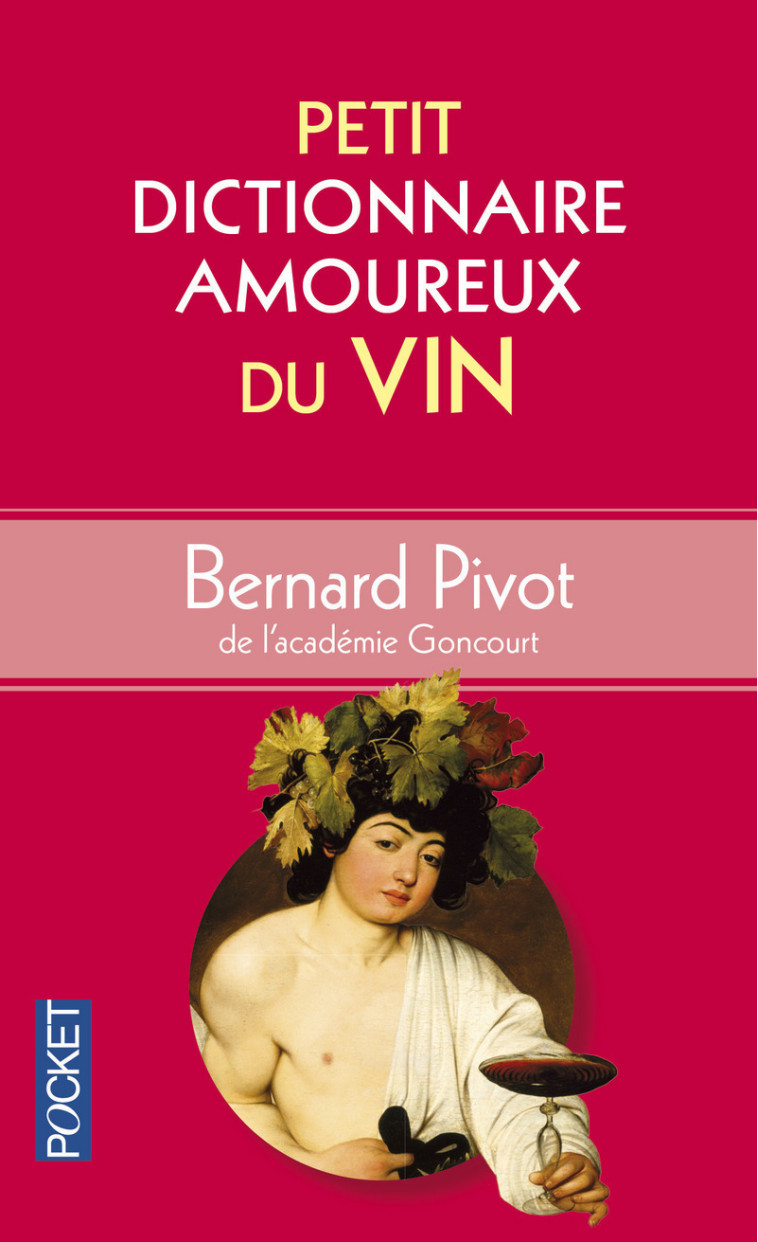 PETIT DICTIONNAIRE AMOUREUX DU VIN - PIVOT/BOULDOUYRE - POCKET