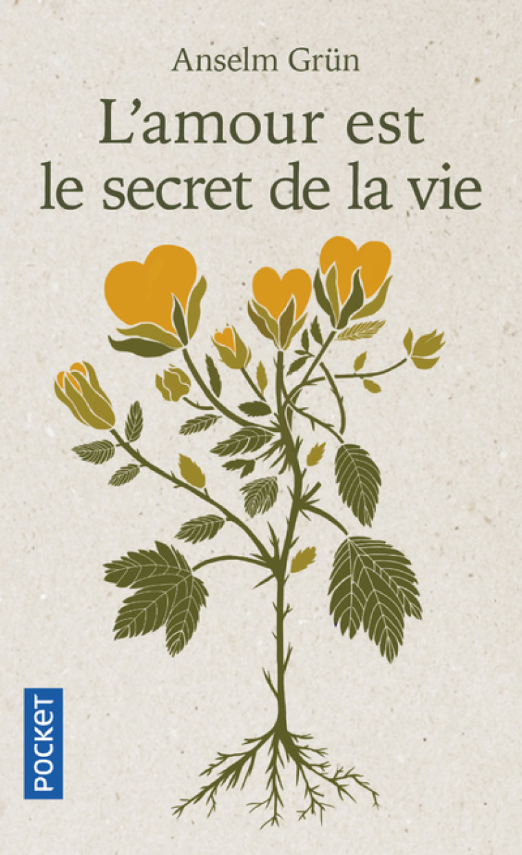 L'AMOUR EST LE SECRET DE LA VIE - GRUN ANSELM - POCKET