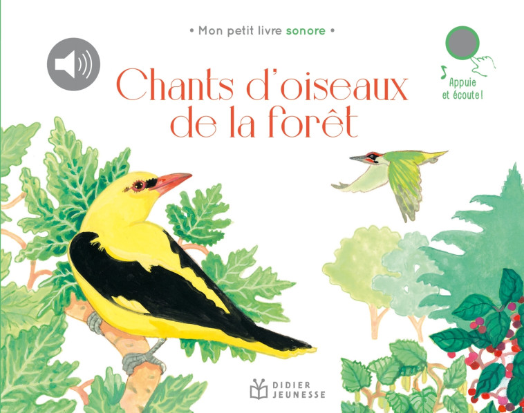 CHANTS D'OISEAUX DE LA FORET - ZORDAN LISA - DIDIER JEUNESSE