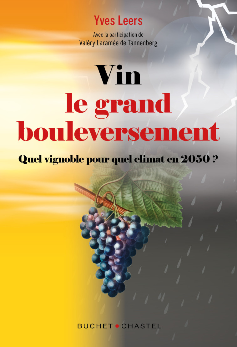 VIN - LE GRAND BOULEVERSEMENT - QUELLE VIGNE POUR QUEL CLIMAT ? - LEERS YVES - BUCHET CHASTEL