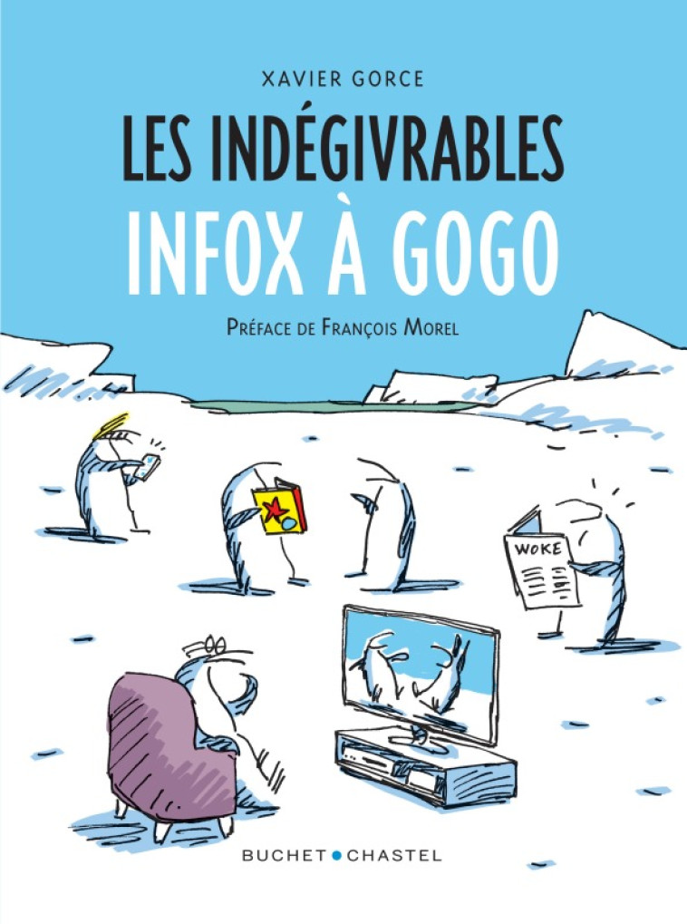 LES INDEGIVRABLES INFOX A GOGO - GORCE XAVIER - BUCHET CHASTEL