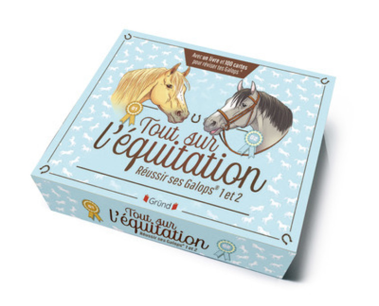 TOUT SUR L'EQUITATION - REUSSIR SES GALOPS 1 ET 2 - DELYLLE/RUELLE - GRUND