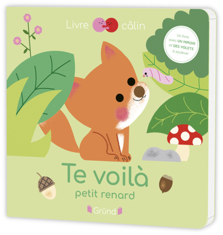 TE VOILA PETIT RENARD ! - BOUXOM SOPHIE - GRUND