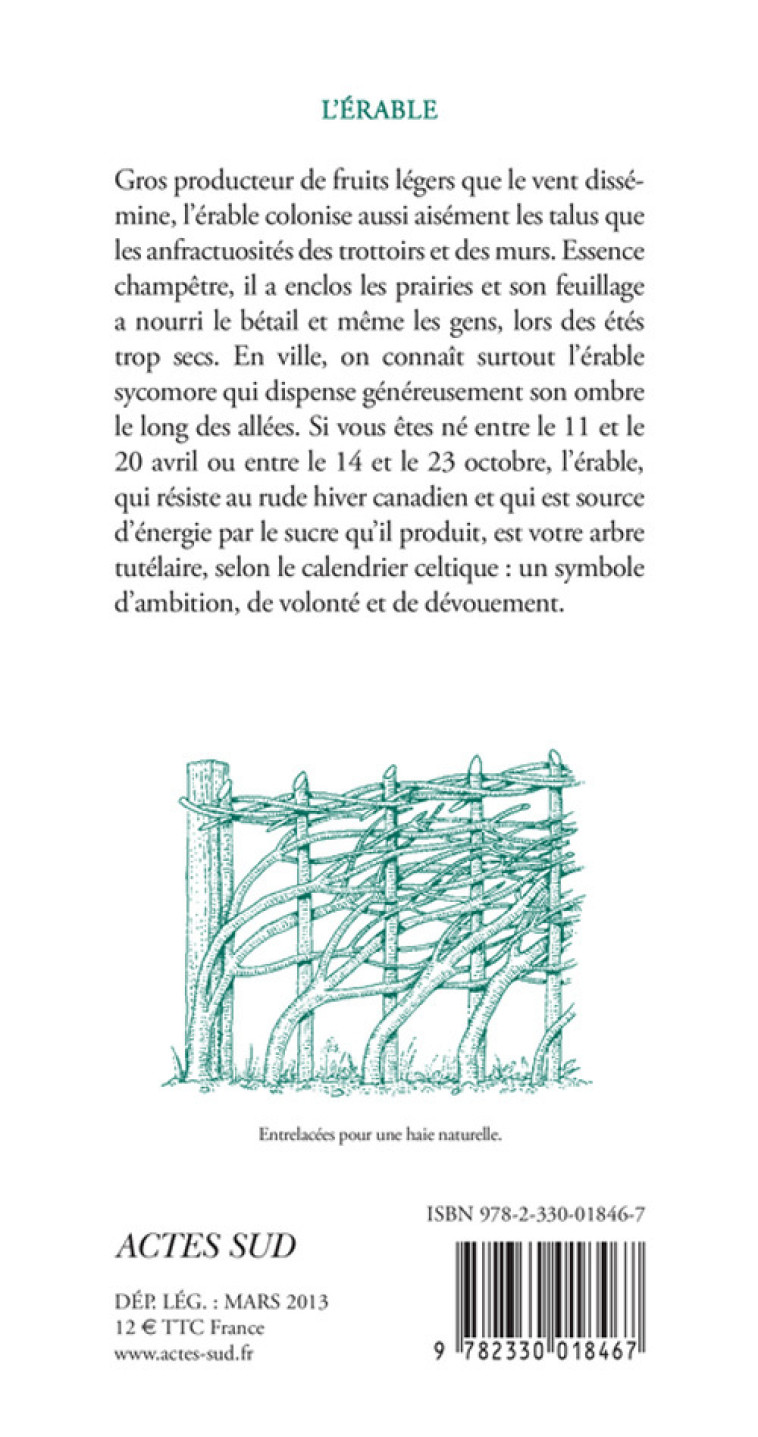 L'ERABLE (NE) - MOTEL GUY - ACTES SUD