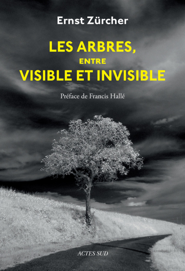 LES ARBRES, ENTRE VISIBLE ET INVISIBLE - ZURCHER/SIRVEN/HALLE - ACTES SUD