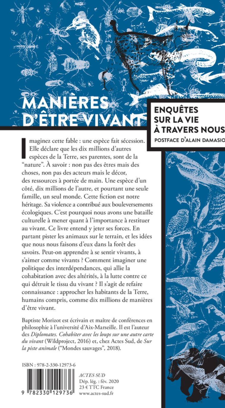 MANIERES D'ETRE VIVANT - ENQUETES SUR LA VI E A TRAVERS NOUS - MORIZOT/DAMASIO - ACTES SUD