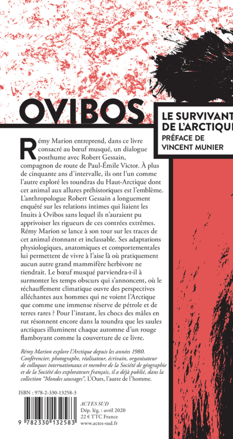 OVIBOS - LE SURVIVANT DE L'ARCTIQUE - MARION/GESSAIN - ACTES SUD