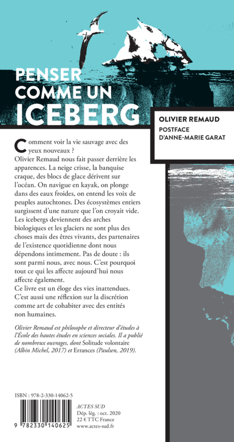 PENSER COMME UN ICEBERG - REMAUD/GARAT - ACTES SUD