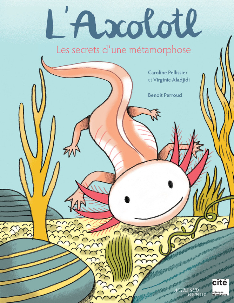 L'AXOLOTL - LES SECRETS D'UNE METAMORPHOSE - PELLISSIER/ALADJIDI - ACTES SUD