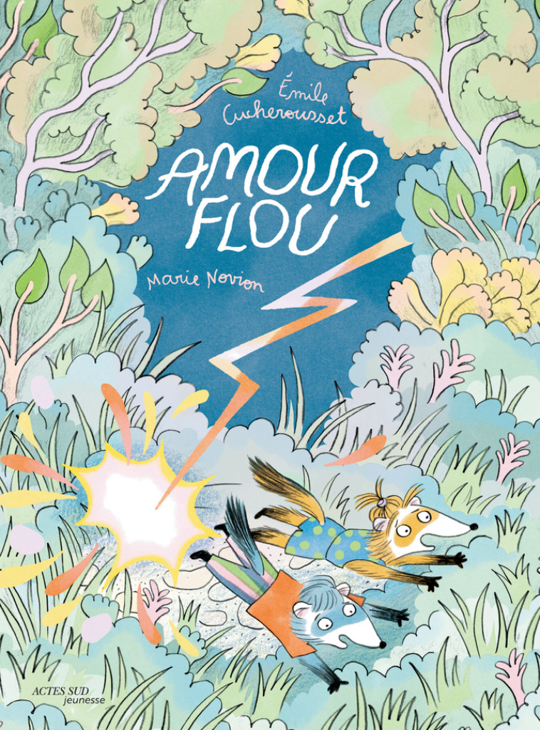 AMOUR FLOU - CUCHEROUSSET/NOVION - ACTES SUD