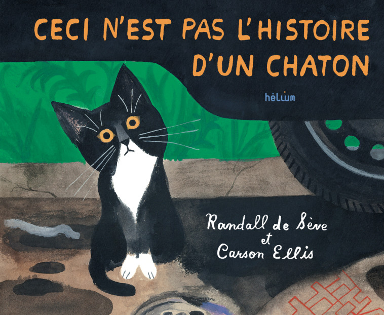 CECI N'EST PAS L'HISTOIRE D'UN CHATON - ELLIS/DE SEVE - HELIUM