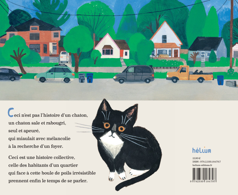 CECI N'EST PAS L'HISTOIRE D'UN CHATON - ELLIS/DE SEVE - HELIUM