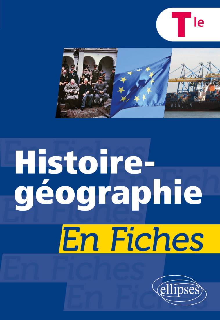 HISTOIRE-GEOGRAPHIE EN FICHES - TERMINALE - LECLERC/AGNES/SOT - ELLIPSES