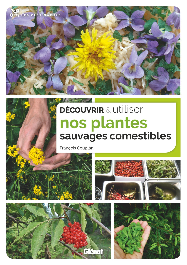 DECOUVRIR ET UTILISER NOS PLANTES SAUVAGES COMESTIBLES - COUPLAN FRANCOIS - GLENAT