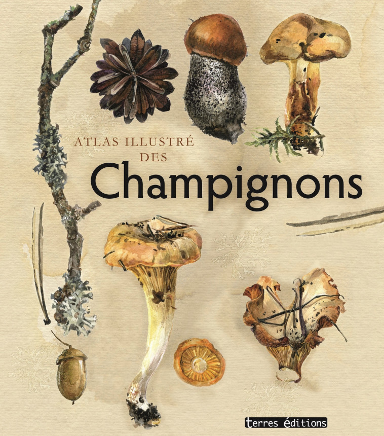 ATLAS ILLUSTRE DES CHAMPIGNONS - COLLECTIF - TERRES EDITIONS