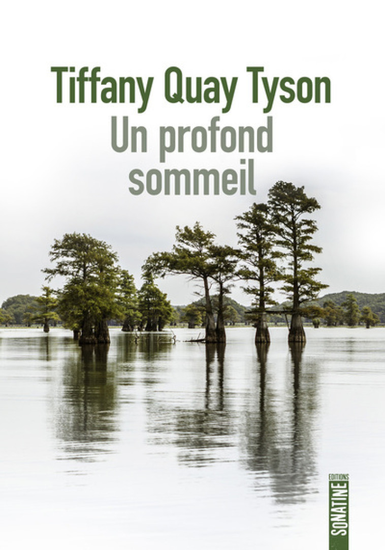 UN PROFOND SOMMEIL - TYSON TIFFANY QUAY - SONATINE