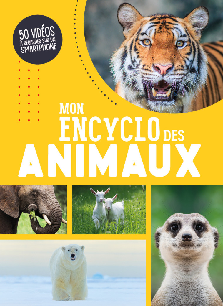 MON ENCYCLO DES ANIMAUX - ATELIER CLORO - 1 2 3 SOLEIL