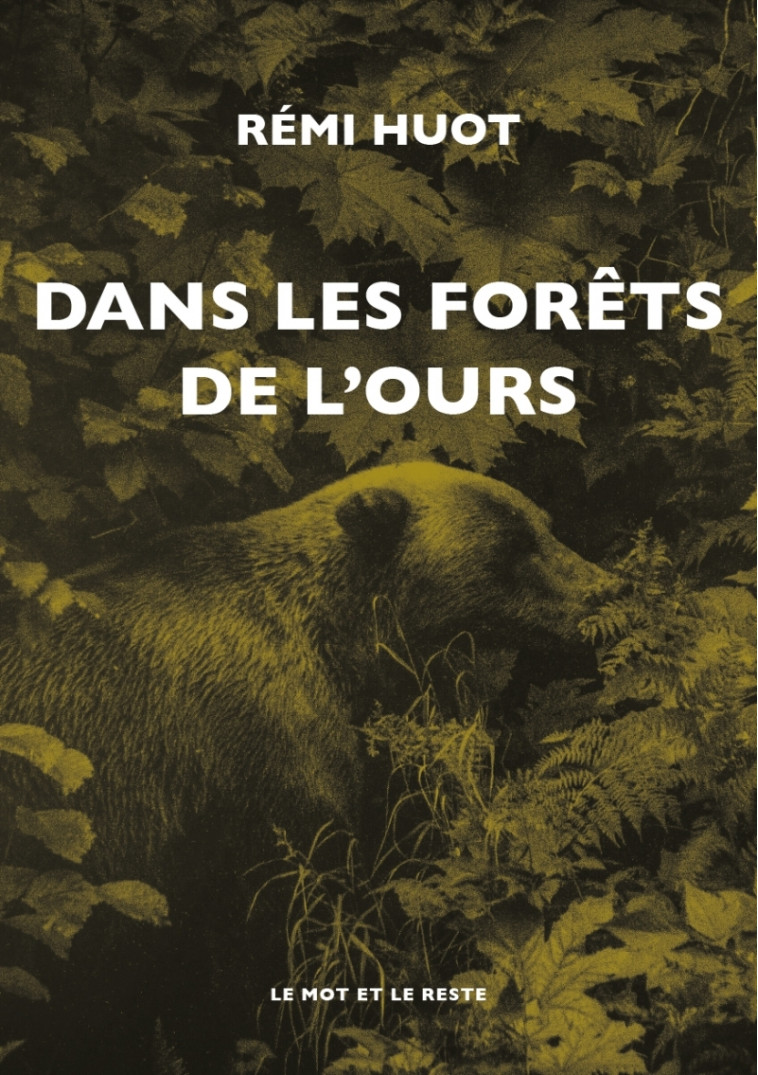 DANS LES FORETS DE L'OURS - HUOT REMI - MOT ET LE RESTE