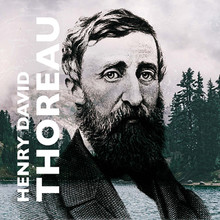 COFFRET - 13 ECRITS DE THOREAU - THOREAU/GRANGER - MOT ET LE RESTE