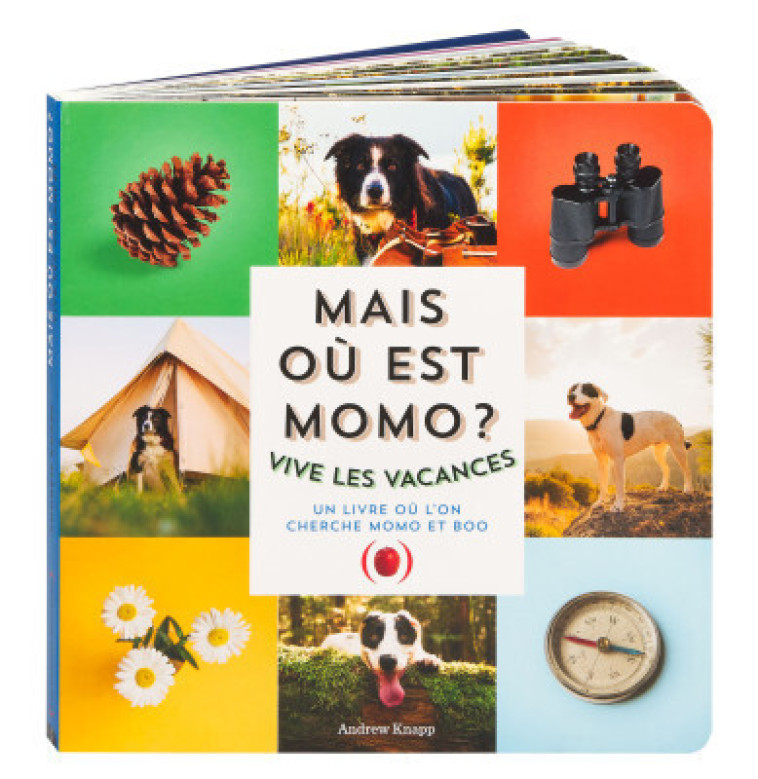 MAIS OU EST MOMO ? - VIVE LES VACANCES ! - KNAPP ANDREW - GRANDES PERSONN