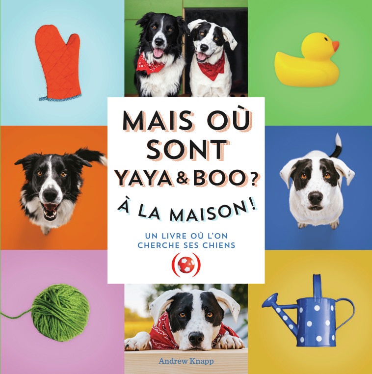 MAIS OU SONT BOO ET YAYA ? - KNAPP ANDREW - GRANDES PERSONN