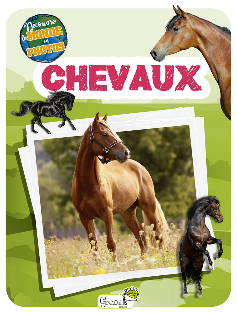 CHEVAUX - COLLECTIF - GRENOUILLE