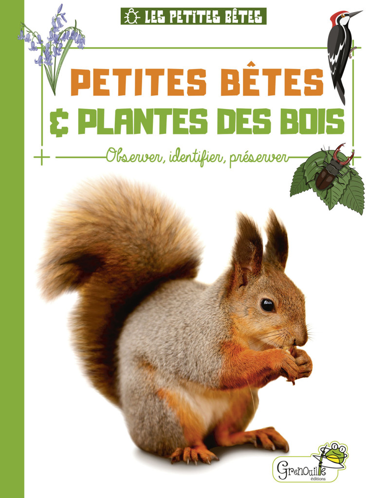 PETITES BETES ET PLANTES DES BOIS - DELVAILLE ALICE - GRENOUILLE