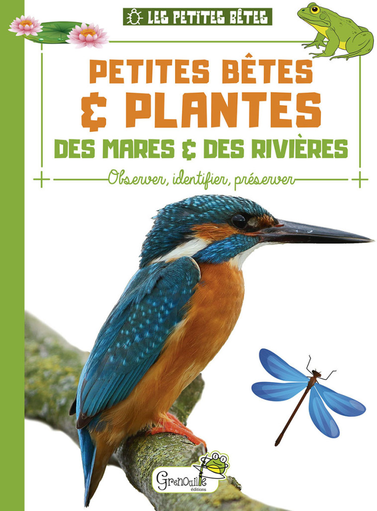 PETITES BETES ET PLANTES DES MARES ET RIVIERES - DELVAILLE ALICE - GRENOUILLE