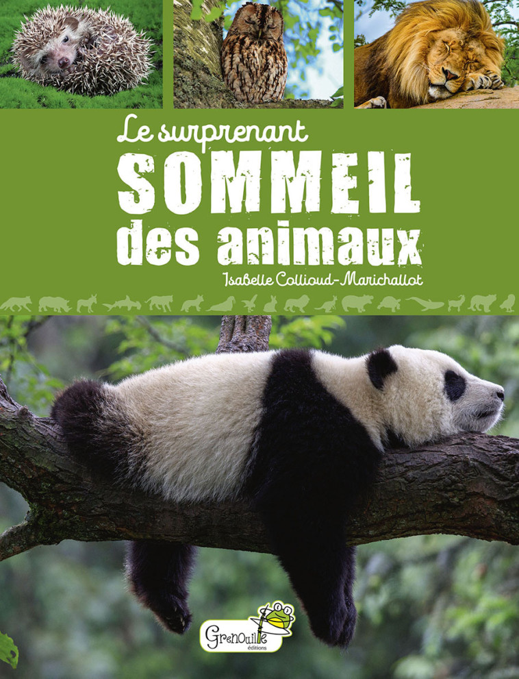 LE SURPRENANT SOMMEIL DES ANIMAUX - COLLIOUD-MARICHALLOT - GRENOUILLE