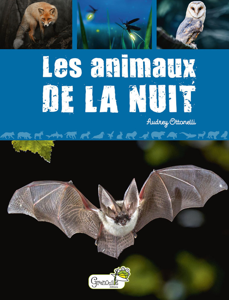 LES ANIMAUX DE LA NUIT - OTTONELLI AUDREY - GRENOUILLE