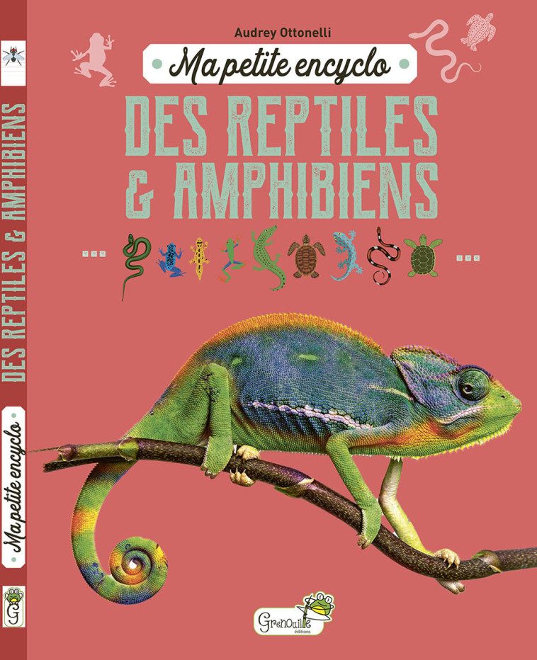 MA PETITE ENCYCLO DES REPTILES ET AMPHIBIENS - OTTONELLI AUDREY - GRENOUILLE