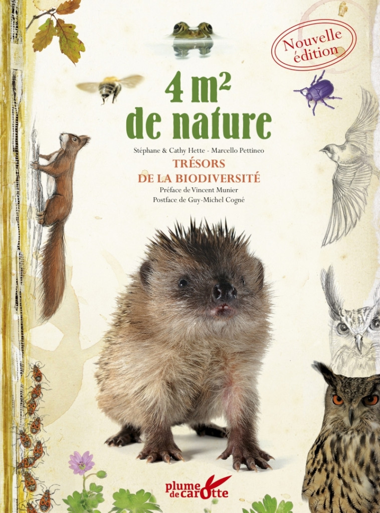 4 M2 DE NATURE - TRESORS DE LA BIODIVERSITE - HETTE/PETTINEO - PLUME CAROTTE