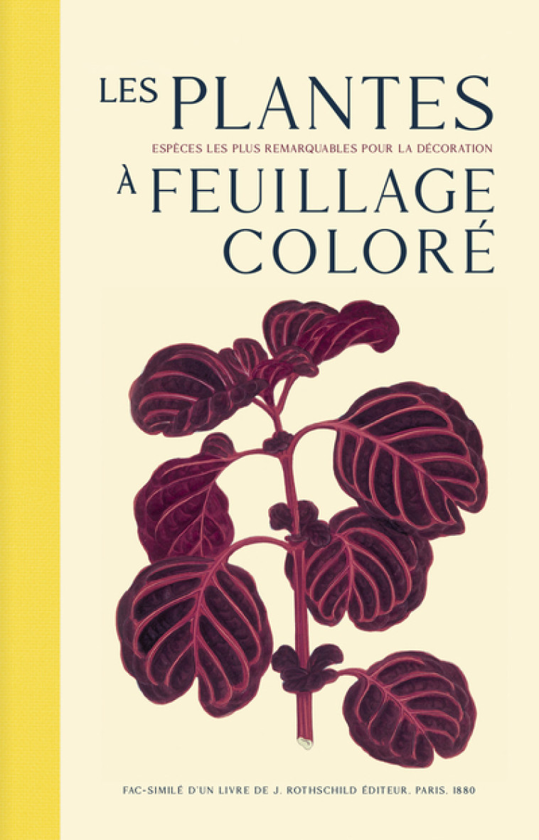 LES PLANTES A FEUILLAGE COLORE - LES ESPECE S LES PLUS REMARQUABLES POUR LA DECORATION - LOWE EDWARD - EDTS BIBLIOMANE