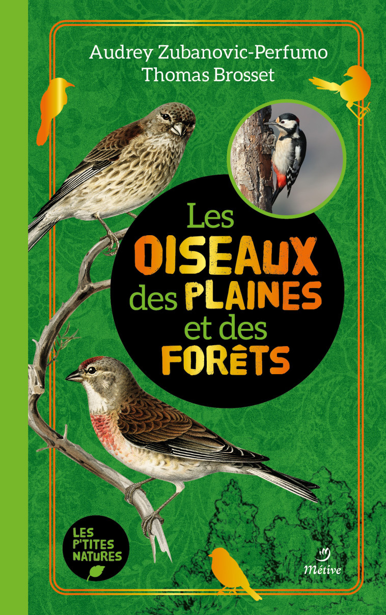 LES OISEAUX DES PLAINES ET DES FORETS - BROSSET - METIVE